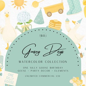 Watercolor Goose Birthday Clipart, One Silly Goose PNG, Blue Yellow Birthday Decor, Coquette Cottagecore Nursery, Baby Shower Party Clip Art