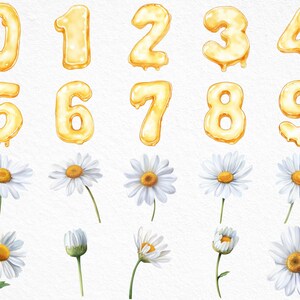 May include: Watercolor illustration featuring golden balloon numbers 0-9 and white daisies with yellow centers. The numbers have a glossy, dripping effect. The daisies are in various stages of bloom, with green stems and leaves.
