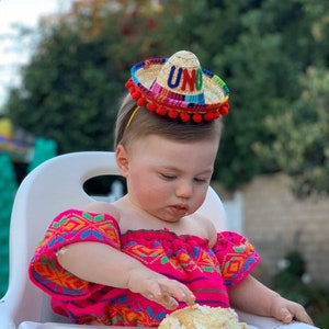 Mini Sombrero, Uno First Birthday Hat, Fiesta 1st Party, Taco About A Party Theme, Mexican Fiesta 1st Bday, Dog Party Hat, Custom Pet Hat