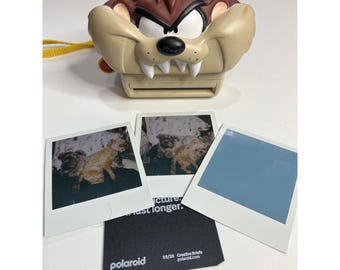 RARE Vintage TAZ Polaroid-Kamera - Getestet & Funktioniert - Verwendet 600 Film