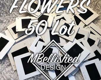 Vintage flower photo slides from around the world