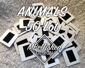 Vintage animals photo slides from around the world