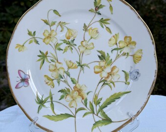 Herend Hand-Painted Dinner/Meat Plate –American Wildflowers / Evening Primrose