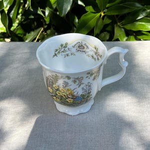 Puede incluir: Una taza de té de porcelana blanca con borde festoneado y asa decorativa. El exterior muestra una colorida ilustración de flores y vegetación, mientras que el borde interior incluye el texto Brambly Hedge SPRING con un pequeño dibujo.