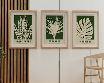 Botanical Plants Set of 3, Plant Print Collection, Plant Art Pictures, Plant Lover Print, Monstera, Tropical Prints, House Plant Posters