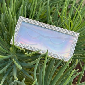 May include: A clear plastic lash case with a silver rhinestone border. The case is designed to hold two pairs of false eyelashes.