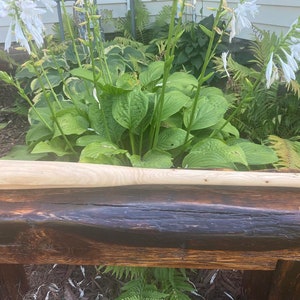 White Ash Baseball Bat