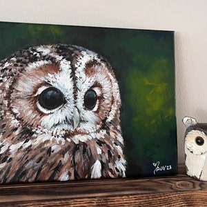 Small Barred Owl Acrylic Painting
