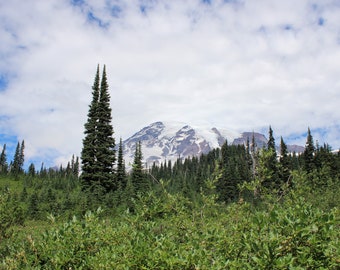 Mt. Rainier National Park Photography ~View of the Summit Photography Wall Art~ Mountain Photography~ Washington State~ Washington Landscape