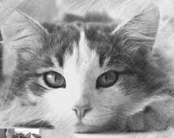 Custom Pet Portrait - B&W Pencil, from Photo to Digital Art, Wall Decor, Unique Present, Nice Home Decor for Pet Lovers, Made in 3 Days