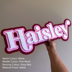 May include: A custom name sign featuring the name Haisley in white lettering, layered over a pink musk middle border and a ruby red backing. The sign has a matte finish and displays the text: Name Colour: White, Middle Colour: Pink Musk, Backing Colour: Ruby Red, Material Finish: Matte.