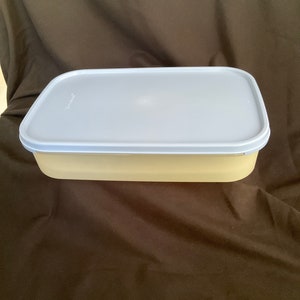 Könnte beinhalten: Ein rechteckiger, hellblauer Plastikbehälter mit Deckel. Der Behälter ist leer und hat eine leicht strukturierte Oberfläche.