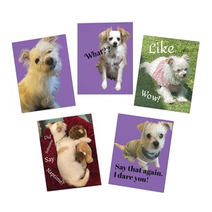 Huisdier Ouder Hond Kat Moeder Multi-Design Moederdag Vriend Vrouw Zus Moeder Cadeau Wenskaarten (5-pack) in lichtpaarse lavendel