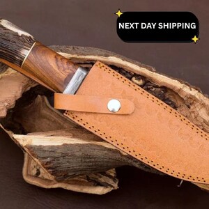 Custom Damascus Hunting Knife: Handmade Stag Horn Handle image 3