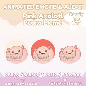 Animated Pink Axolotl Pedro | Raccoon Meme Emote and Alert for Twitch, Discord, YouTube, Kick