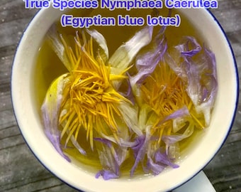 Blue Lotus flower 40g : True Nymphaea Caerulea, Meditation & Relaxation , Pure Natural 100%