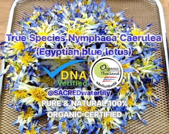 Flores secas de loto azul egipcio 100 g - Té para dormir, sueños lúcidos, calma y relajación - Infusión de hierbas