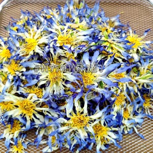 Egyptian Blue Lotus Dried Flowers 100g - Sleeping tea , Lucid dream , Calm & Relaxation - Herbal TEA