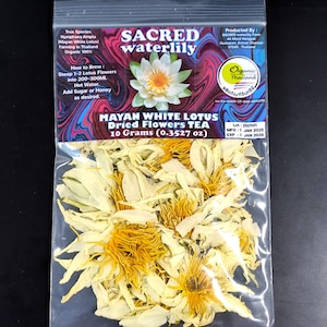 Nymphaea Ampla Dried Flowers 10g : Mayan White Waterlily - Lucid Dream & Meditation Tea