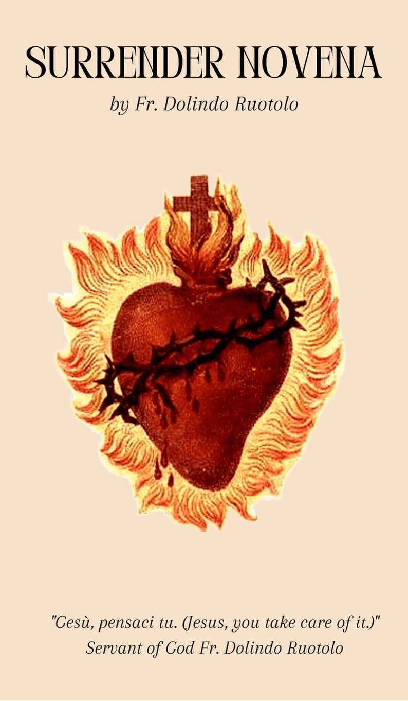 Surrender Novena by Fr. Dolindo Ruotolo_25 Holy Cards - Etsy