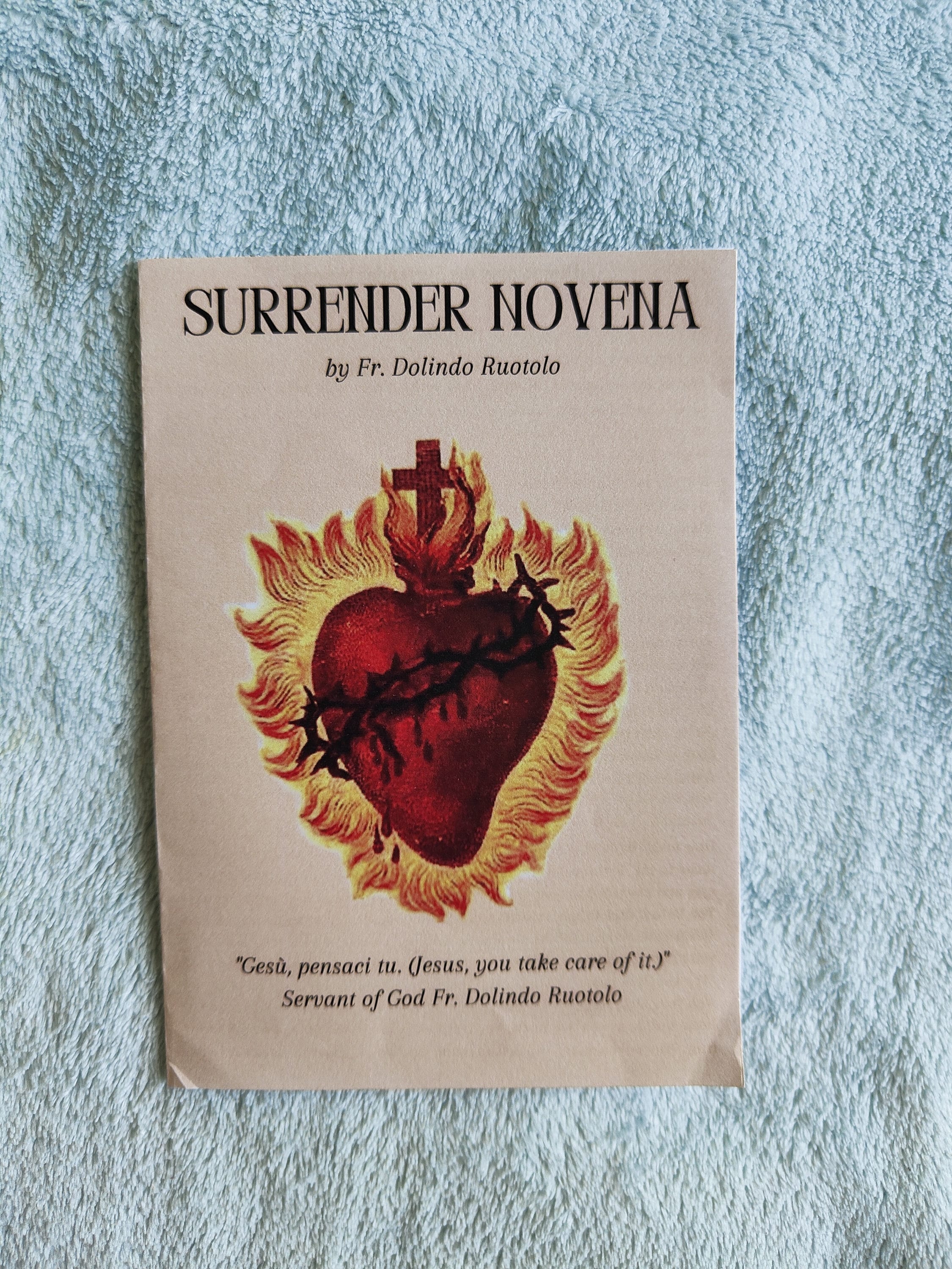 25 Cards of the Surrender Novena by Fr. Dolindo Ruotolo - Etsy