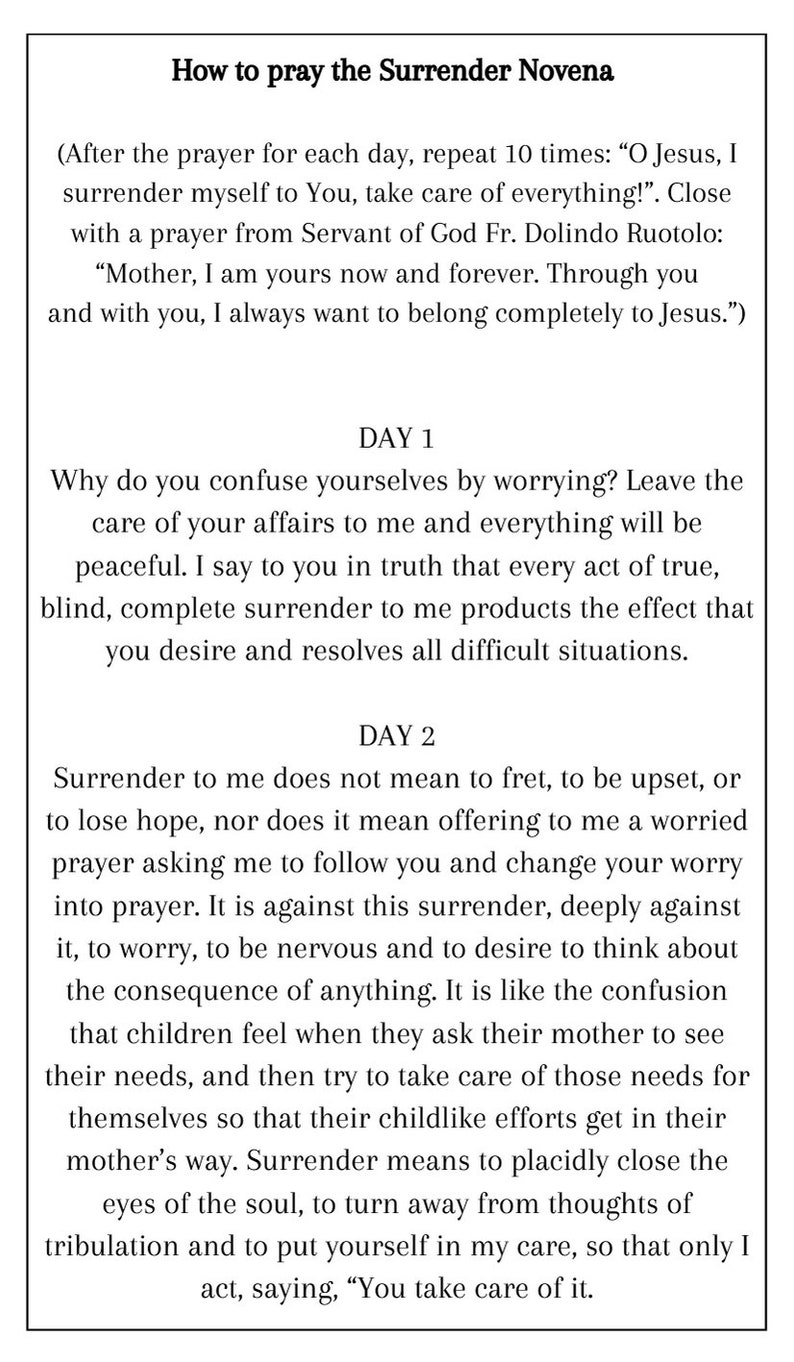 Surrender Novena by Fr. Dolindo Ruotolo_25 Holy Cards - Etsy
