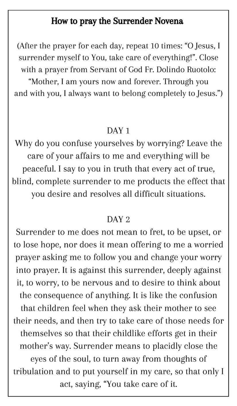 Surrender Novena by Fr. Dolindo Ruotolo_25 Holy Cards - Etsy