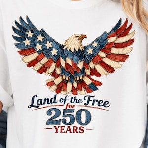 Patriotic Patchwork Eagle png, American Eagle Sublimation, USA 250 Years Eagle png, Patchwork July 4th png, Red White Blue Eagle Design