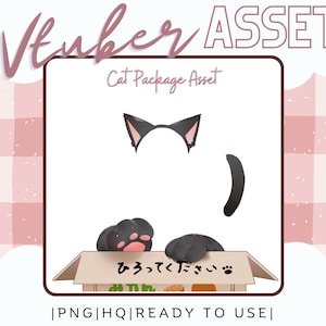 Vtuber Asset - Cat Package Box Set - Prop Accessory Overlay - Streaming Asset for Live2D or PNGTuber