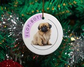 Flop Bott Ornament