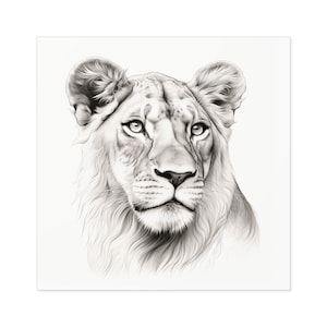 Regal Lioness Square Sticker / Indoor Outdoor Vinyl / Elegant Line Drawing / Gift for Animal Lover / Water Bottle Laptop Skateboard