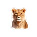 Lioness Sticker
