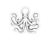 White Kraken Sticker