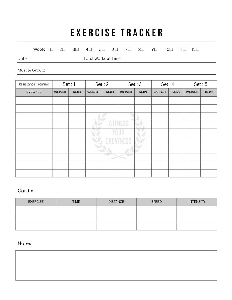 12-week-fitness-plan-fitness-program-home-workout-weight-training-meal