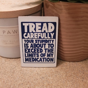 Funny Fridge Magnet mental health funny gift idea small stocking stuffer christmas canada