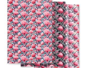 Australian native flowers wrapping paper | pink waratah design | small print | original artwork | original design