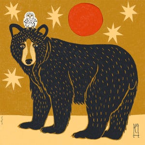 Black Bear and Owl - Giclee Fine Art Print - 12x12