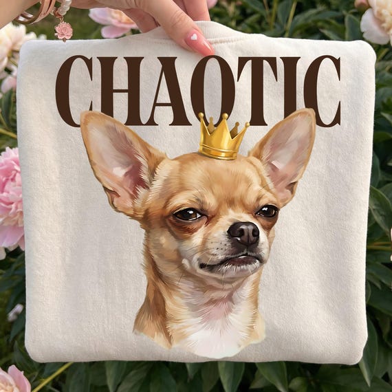 Chihuahua PNG, Funny Dog Shirt Design, Chihuahua Chaotic Graphic, Dog Lover Sublimation PNG, Funny Animal T-Shirt Design