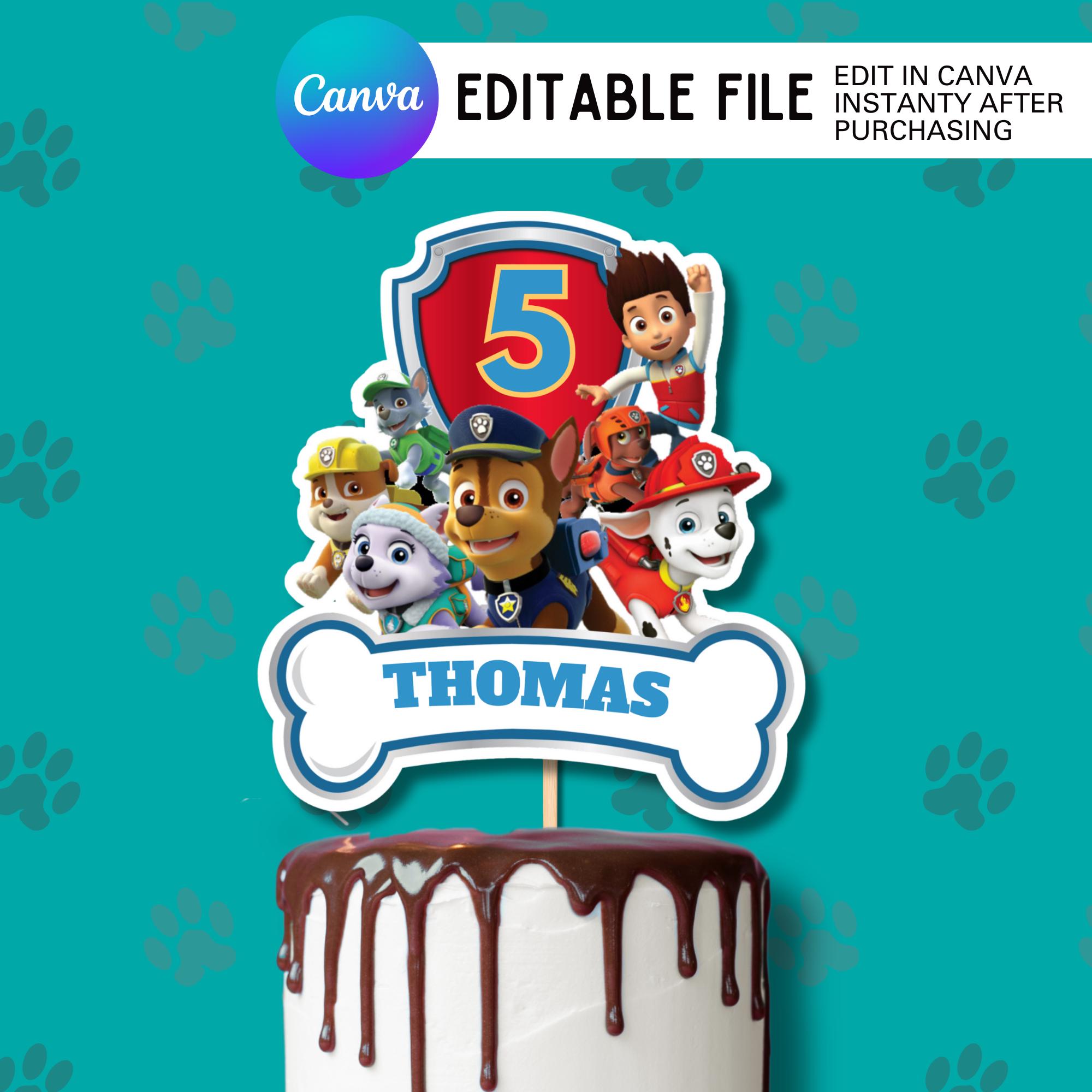 Ensemble De Ballons PAW PATROL Pour Fête D'anniversaire Enfant - Déco Mignonne, Neuf