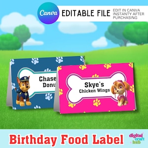 Peut inclure: Deux étiquettes alimentaires d'anniversaire colorées avec des personnages de dessins animés. L'une est bleue avec Chase et le texte "Chase Donu". L'autre est rose avec Skye et le texte "Skye's Chicken Wings".
