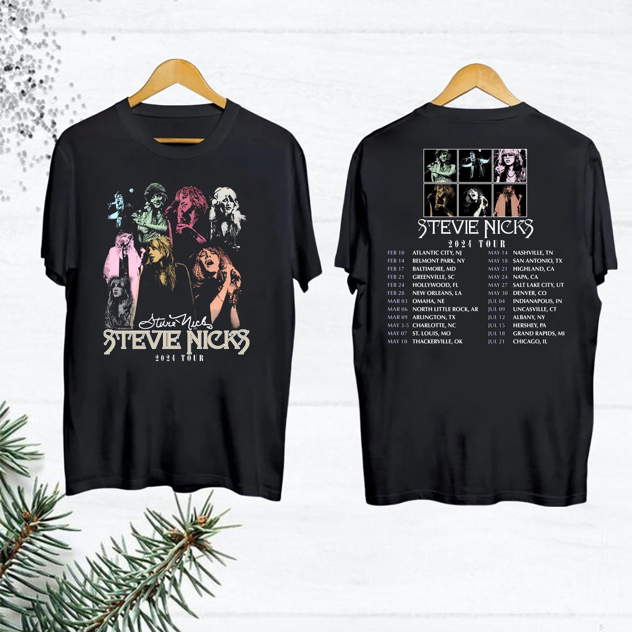 Stevie Nicks 2024 Tour Merch, 2024 Stevie Nicks Live In Concert TShirt