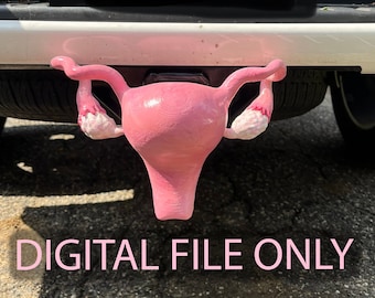 May include: Pink 3D printed anatomical model of a uterus attached to a vehicle's rear bumper. The text "DIGITAL FILE ONLY" is printed below the model.