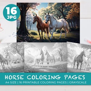 Printable Horse Coloring Pages for Kids and Adults Digital Download Instant Download Grayscale Coloring Book Printable Animal Coloring Sheet