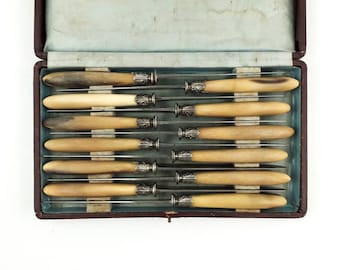 12 cuchillos de mesa antiguos TD Paris en su caja original Francia del siglo XIX Cuchillos franceses antiguos con mangos de asta de ciervo Cubiertos franceses