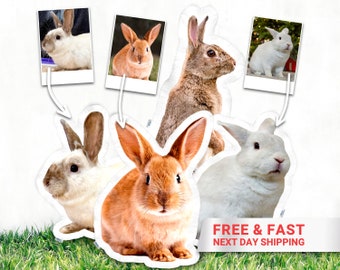 Custom Bunny Photo Pillow - Personalized Rabbit Shaped Cushion - Bunny Loss Rabbit Lover Gift - Bun Photo Plush Toys - Bunny Memorial Gift