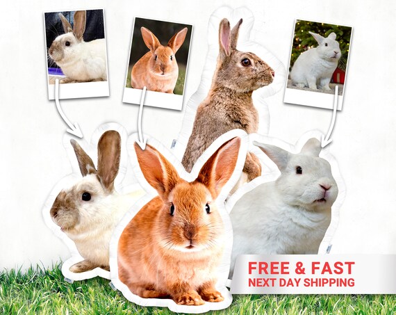 Benutzerdefinierte Kaninchen-Foto-Kissen - Personalisierte Kaninchenfrmige  Kissen - Kaninchen-Verlust-Kaninchen-Liebhaber-Geschenk -  Brtchen-Foto-Plschtier - Hschen-Gedenkgeschenk - Etsy.de