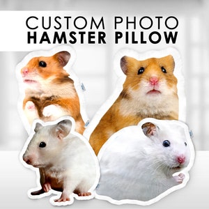 Custom Hamster Photo Pillow | 3D House Mouse Shaped Pillow | Personalized Rat Stuffed Plush Toy | Custom Ratty Cutout Cushion Rat Loss Gift