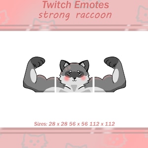 Strong raccoon-twitch-emote!