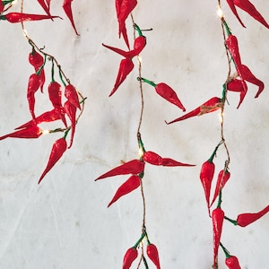 May include: A string of red chili pepper lights with green stems and small white lights. The lights are strung on a brown twine.