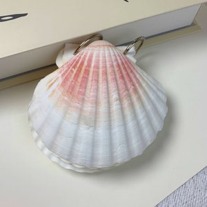 Handgemaakte schelpennotitieblok